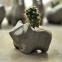 Concrete vase “Hedgehog” (1) - 1