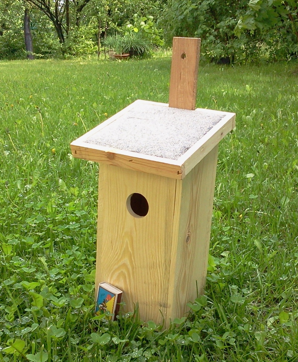 Birdhouse (1)